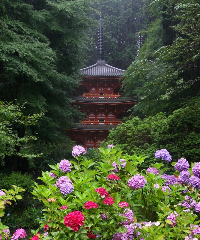 f:id:kyotoside:20220202140806j:plain