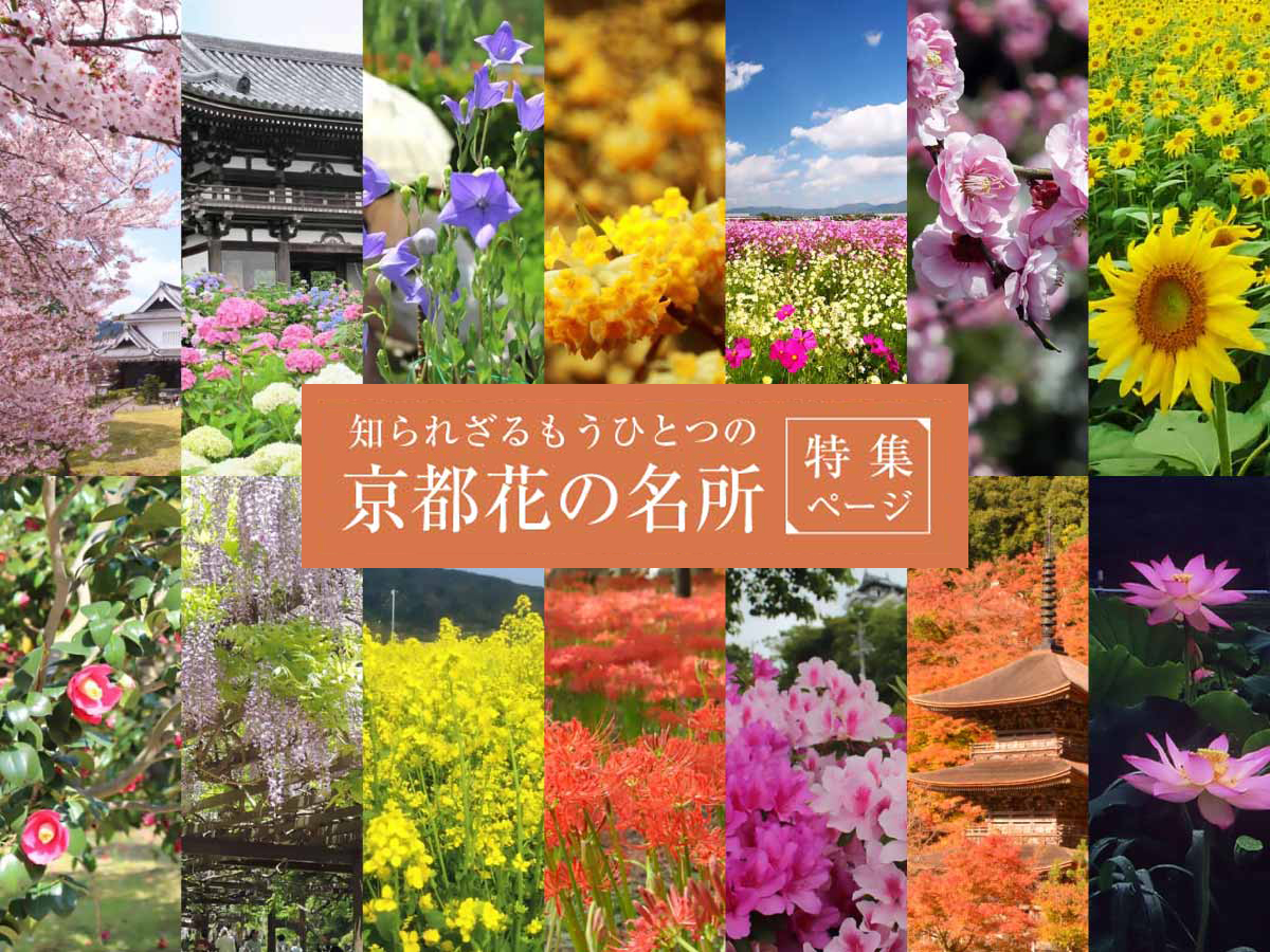 京都花の名所12ヶ月