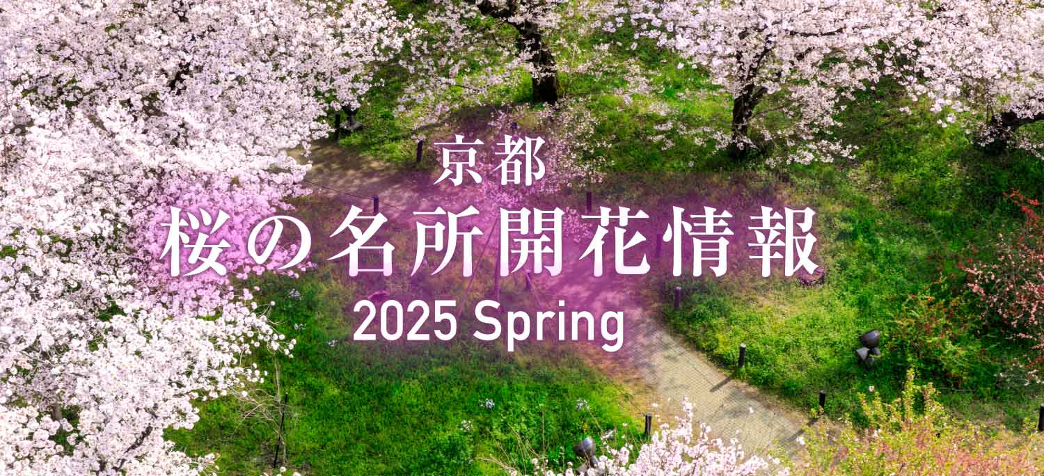 京都・桜の名所開花情報