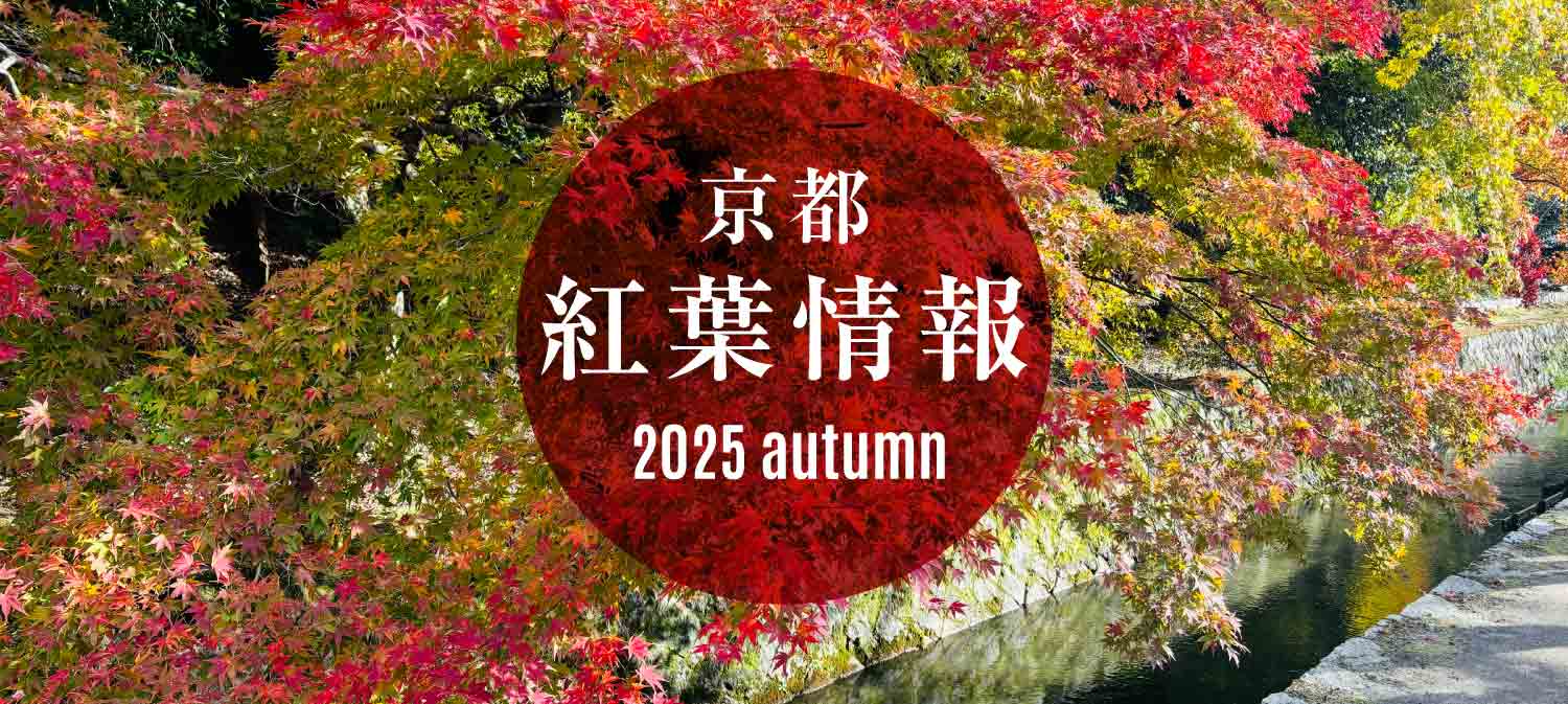 2025紅葉情報