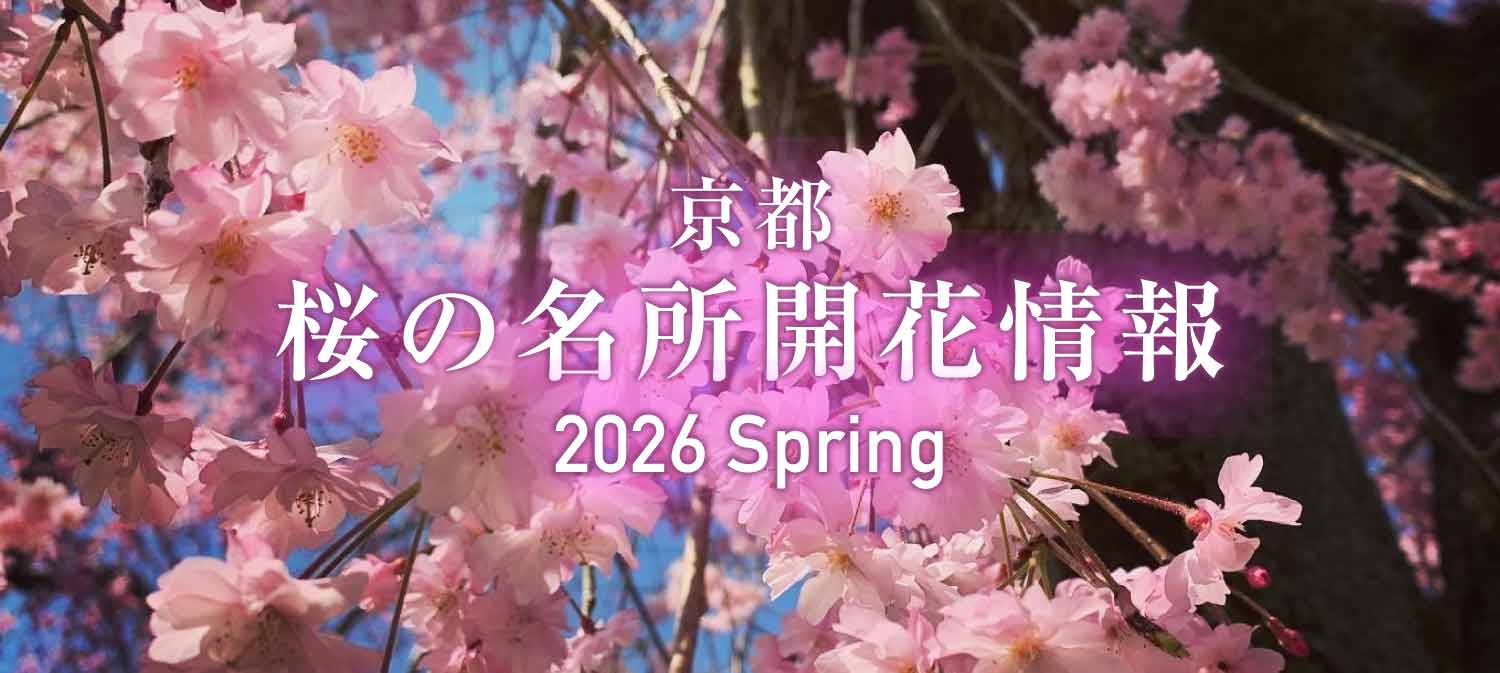京都・桜の名所