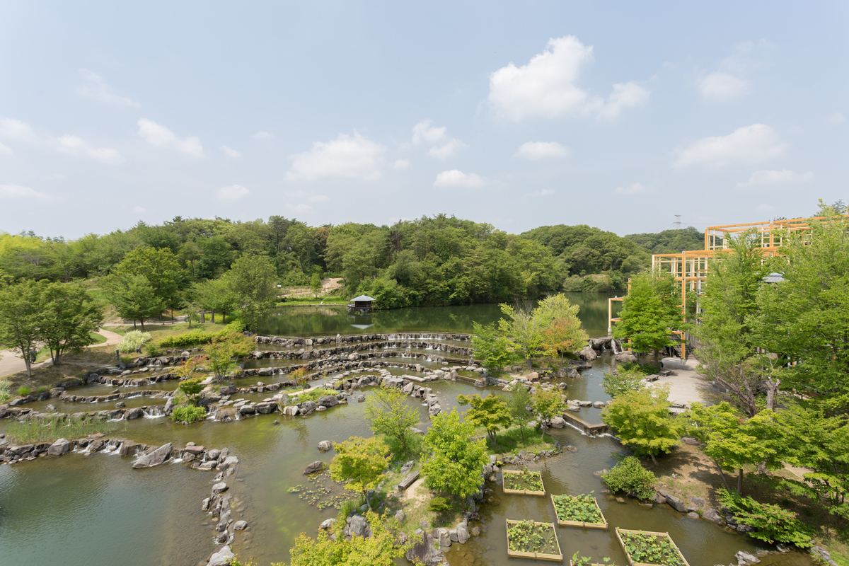 【精華町】けいはんな記念公園