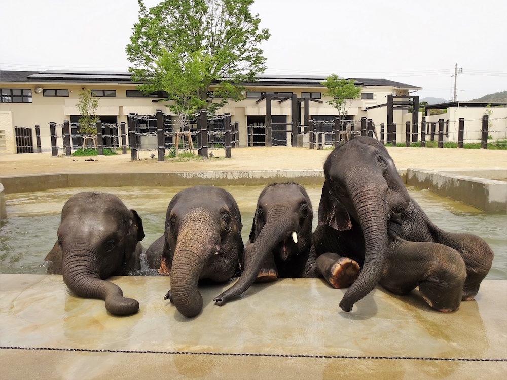 【京都市】京都市動物園