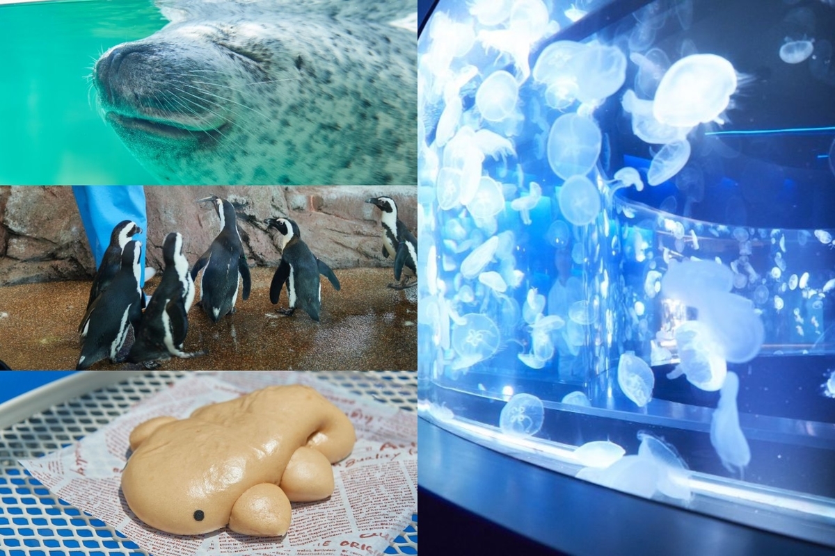 【京都市】京都水族館