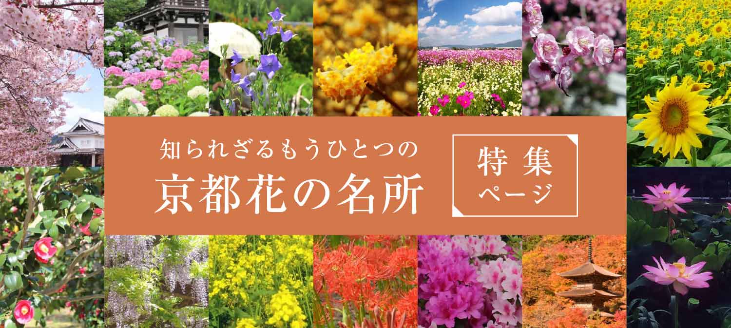 京都花の名所特集