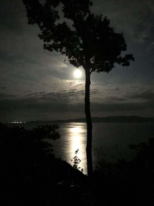 宮津市・丹後海と星の見える丘公園「お月見ウォーク ムーンロードを眺めませんか。」