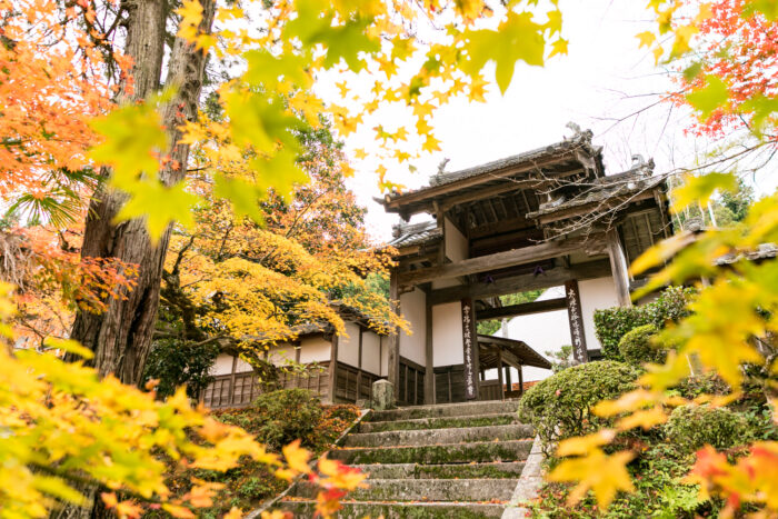 南丹市・龍穏寺・紅葉