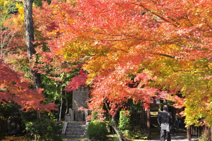 八幡市・善法律寺・紅葉