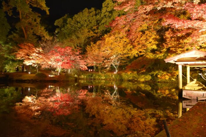 綾部市・大本神苑・紅葉ライトアップ