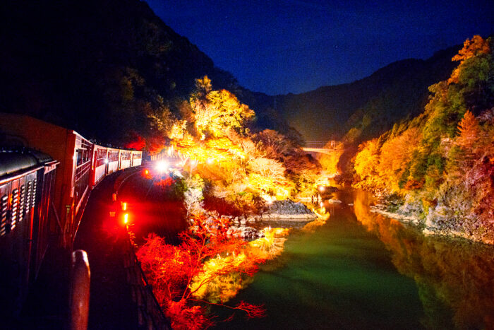 亀岡市・嵯峨野トロッコ列車・紅葉ライトアップ