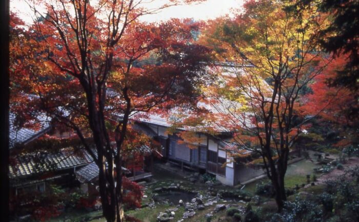 京丹後市・宗雲寺・紅葉