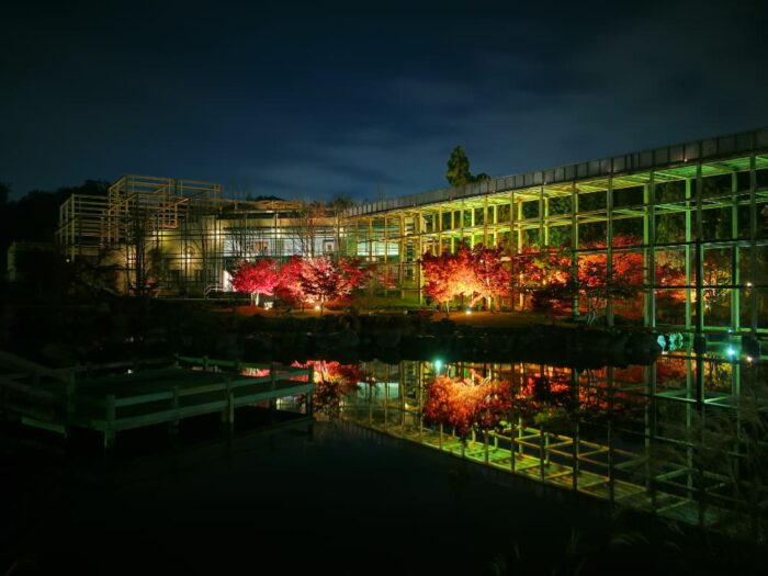 精華町・けいはんな記念公園・紅葉ライトアップ