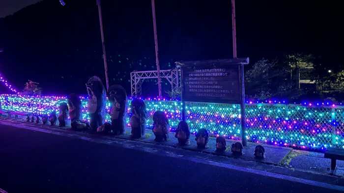 嵯峨野トロッコ列車ライトアップ画像
