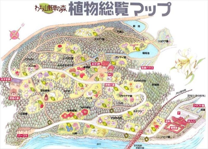 わち山野草の森植物総覧マップ