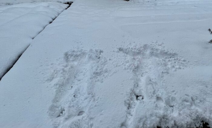 雪へダイブ