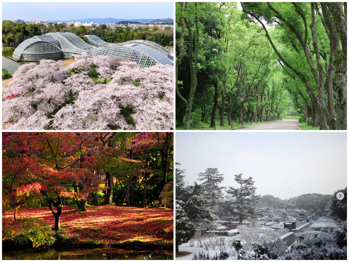 京都府立植物園