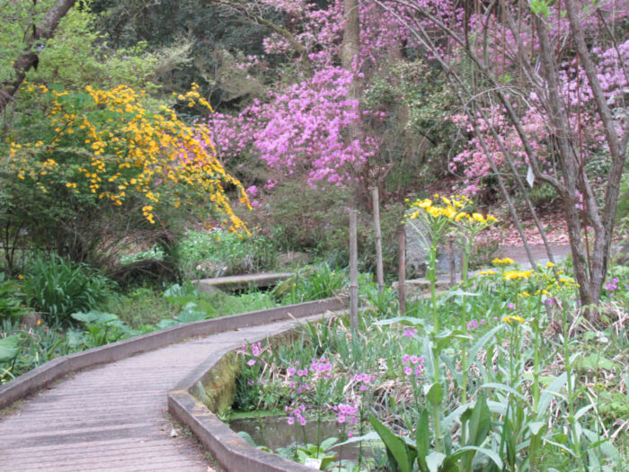 日本の森・植物生態園