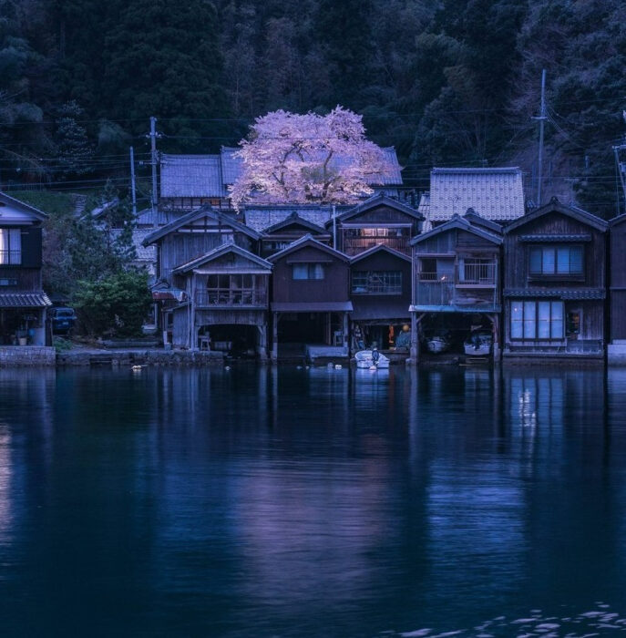 伊根町・桜ライトアップ