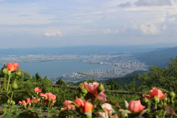 京都市・バラ園