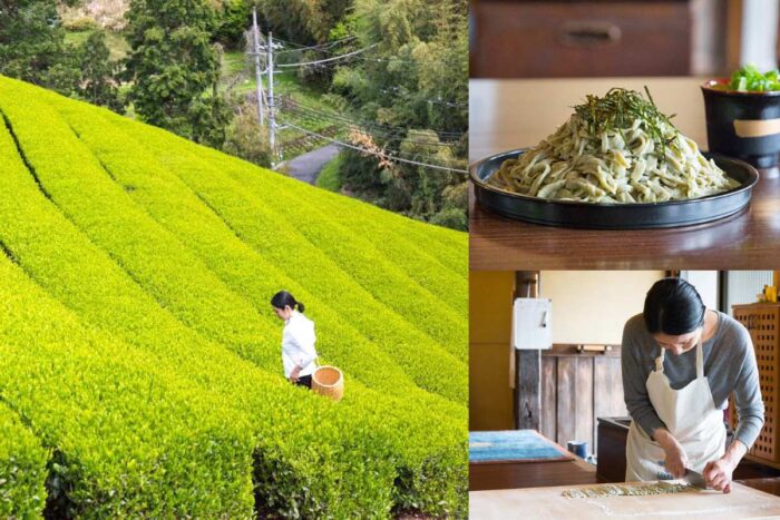 茶摘み