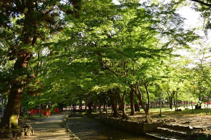 上賀茂神社