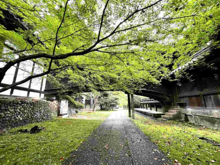 向日神社