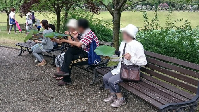 観蓮会と象鼻杯の様子