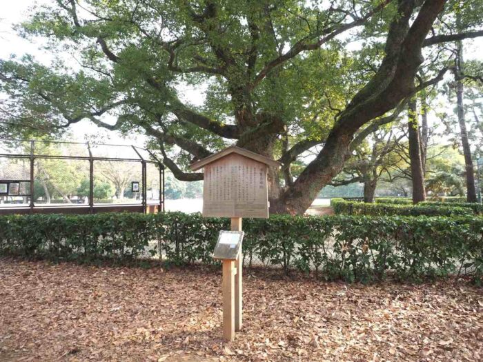 京都御苑