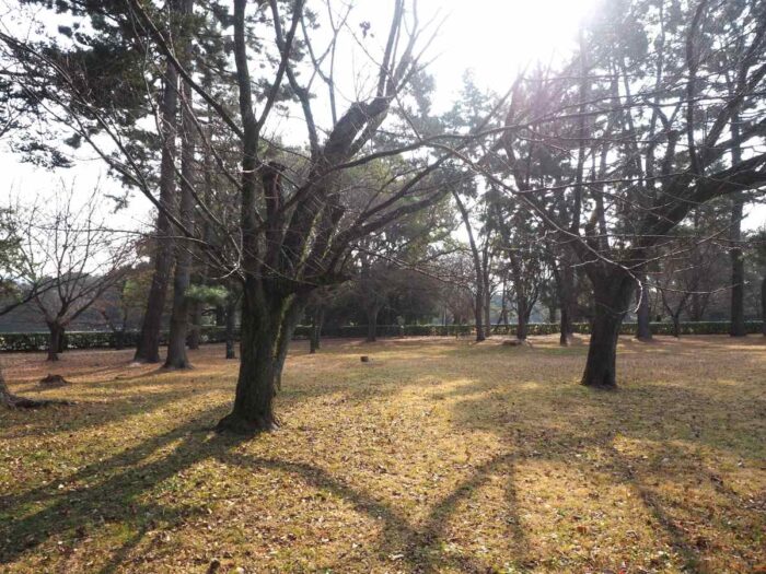 京都御苑