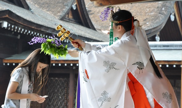 京都市・藤