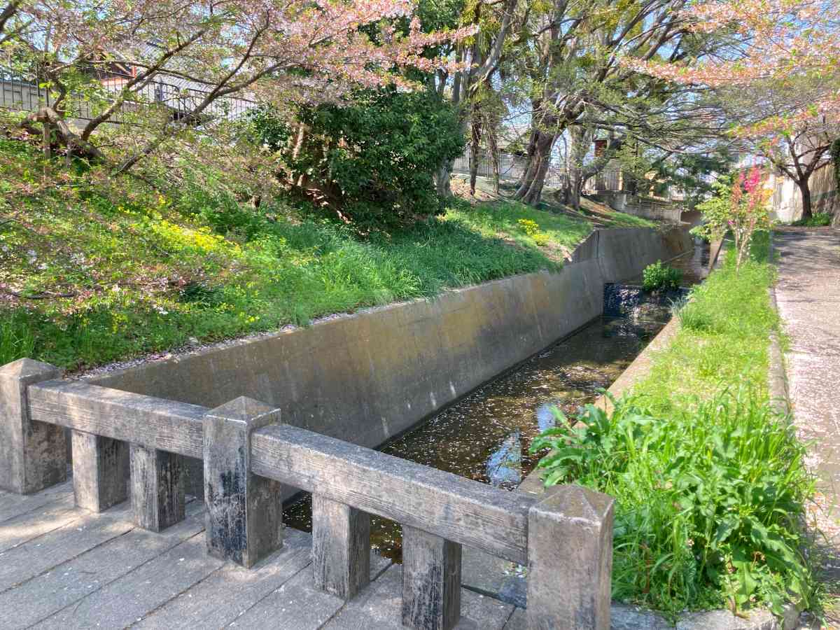 伏見