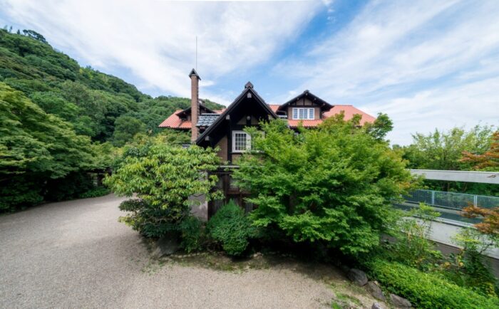 大山崎町・睡蓮