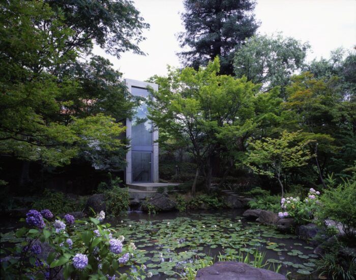 大山崎町・睡蓮