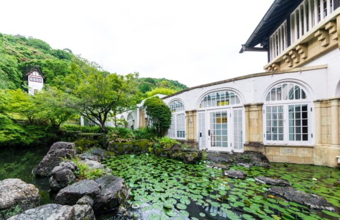 大山崎町・睡蓮