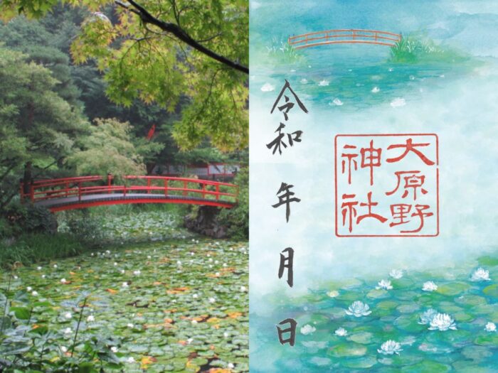 京都市・睡蓮
