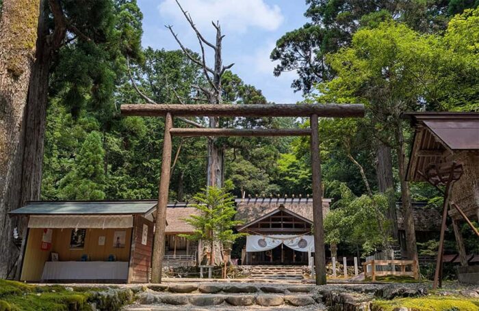 黒木の鳥居