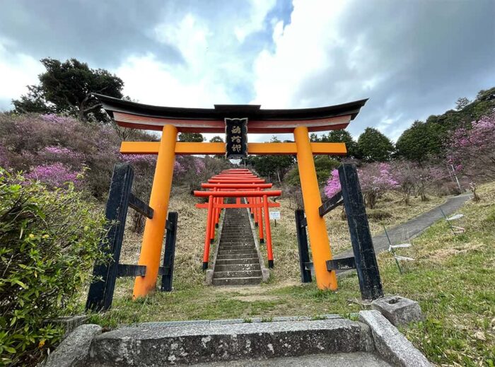 獅子崎稲荷神社の連なる鳥居