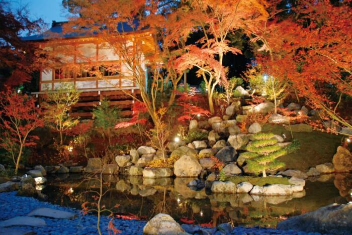 長岡京市・紅葉