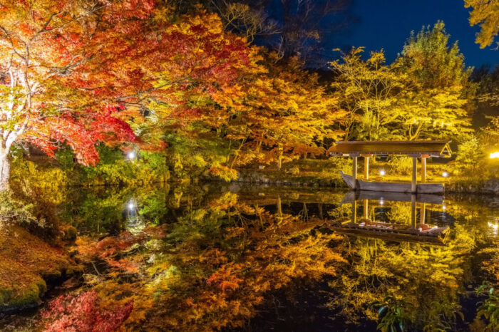 綾部市・紅葉