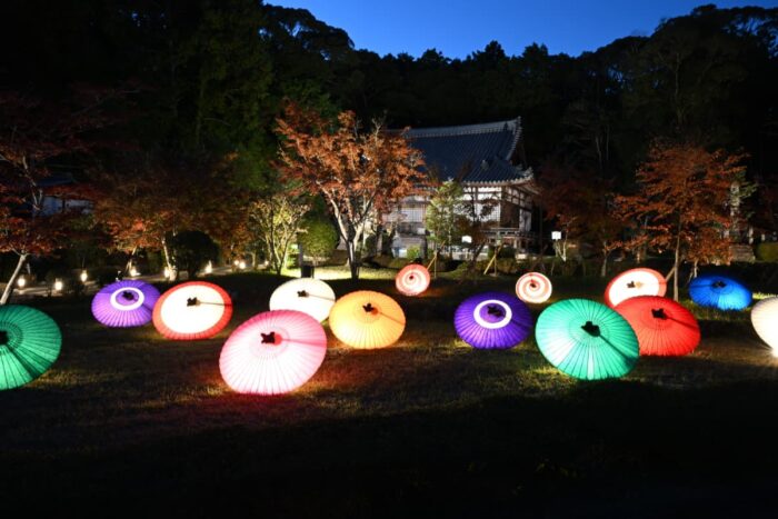 京田辺市・紅葉
