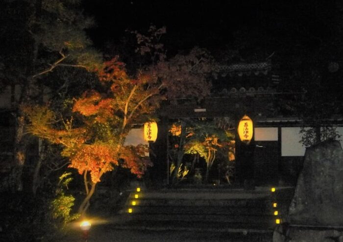 八幡市・紅葉