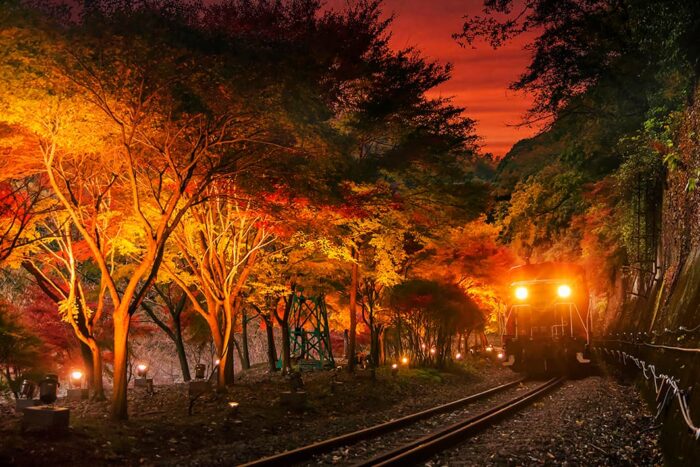 京都市・紅葉