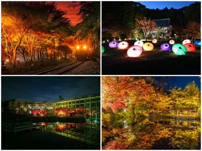 京都・紅葉