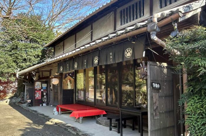 猫猫寺 開運ミュージアム