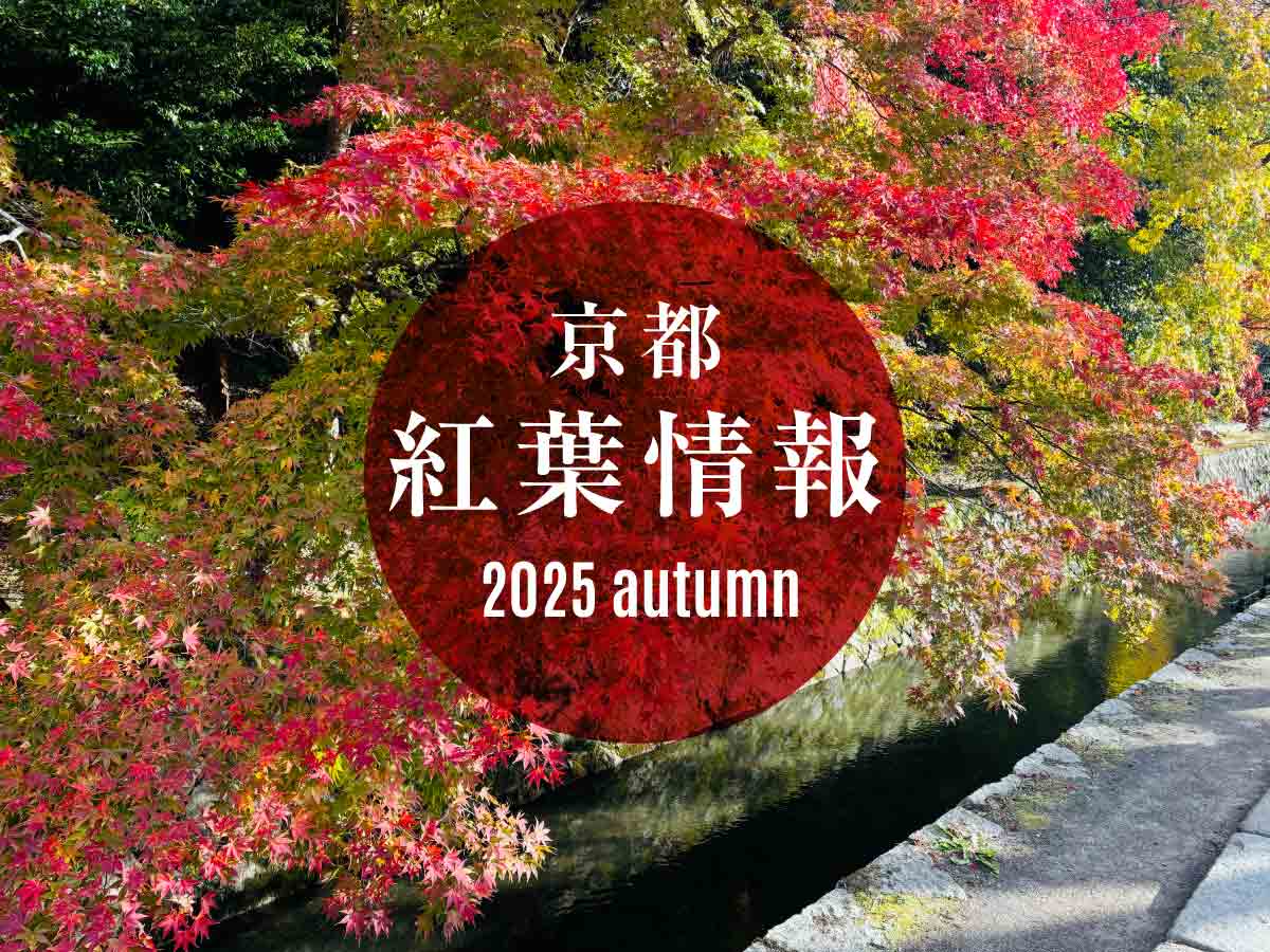 2025京都府内紅葉情報
