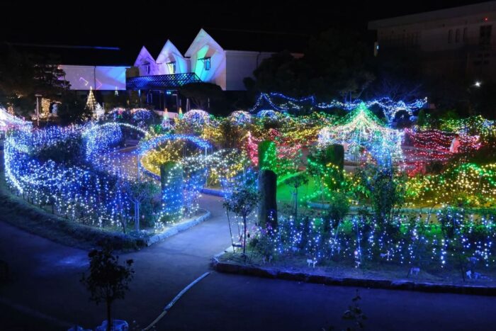 綾部夢（ドリム）ライト