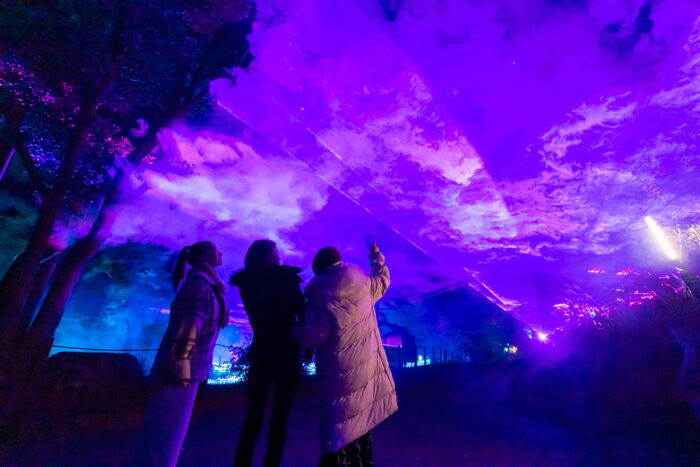 シナスタジアヒルズ