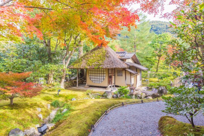 京都市・紅葉