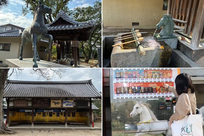 境内にあるさまざまな馬に関するもの