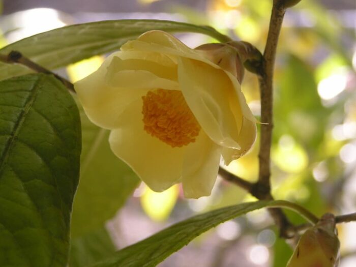 舞鶴自然文化園